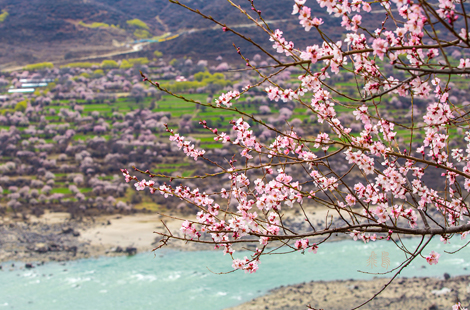 6-Day Tibet Holy City Train Tour