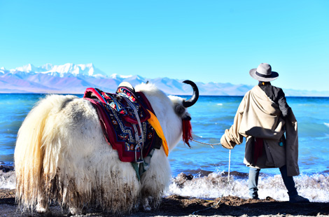 10 Days Classic Trip to EBC with Namtso Lake
