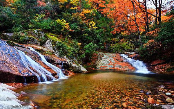 China Panda Tours